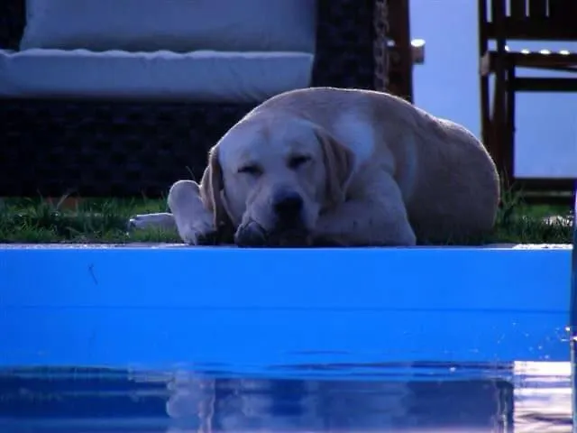 With Spectacular Private Swimminpool&view, Wifi * Modigliana